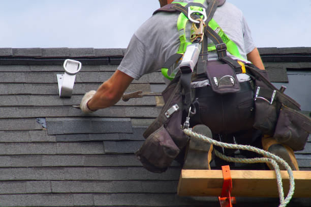 Best Roof Insulation Installation  in St Charles, MI