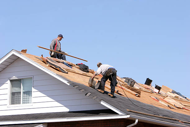 Best Roof Coating and Sealing  in St Charles, MI
