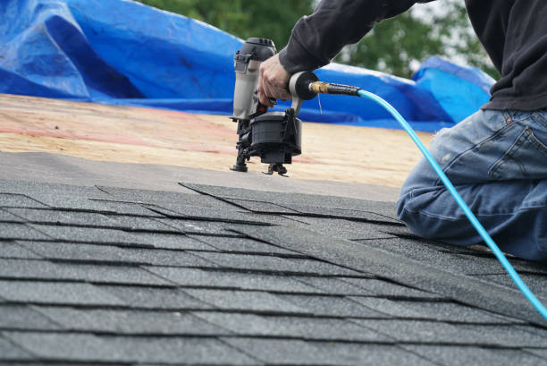 Best Roof Leak Repair  in St Charles, MI